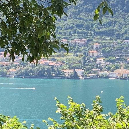 Apartment Casa Dono Il Lago Pognana Lario 外观 照片