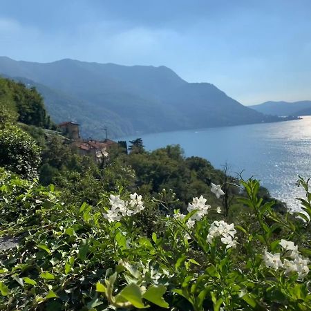 Apartment Casa Dono Il Lago Pognana Lario 外观 照片