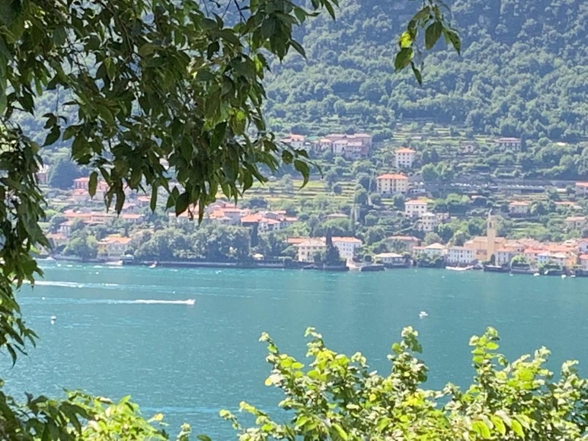 Apartment Casa Dono Il Lago Pognana Lario 外观 照片
