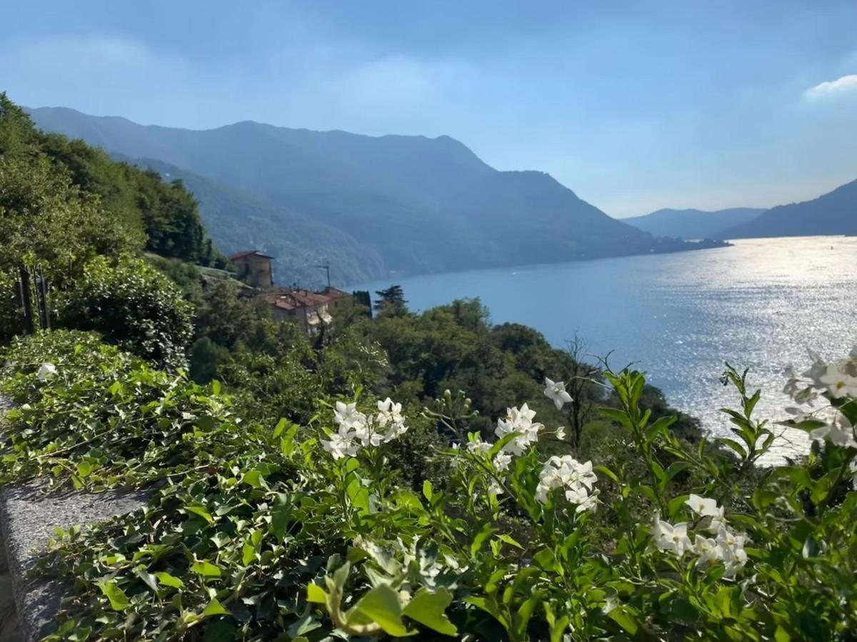Apartment Casa Dono Il Lago Pognana Lario 外观 照片