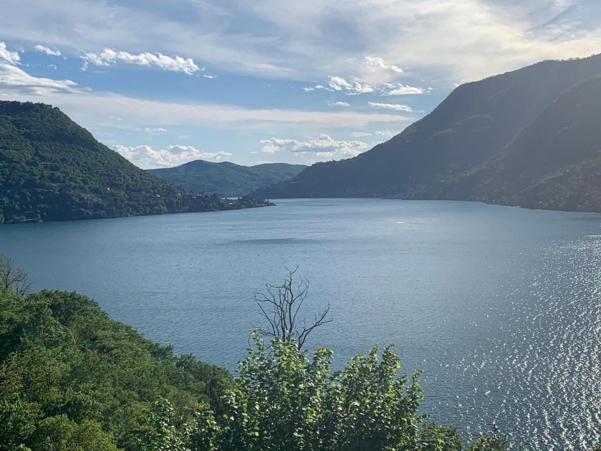 Apartment Casa Dono Il Lago Pognana Lario 外观 照片