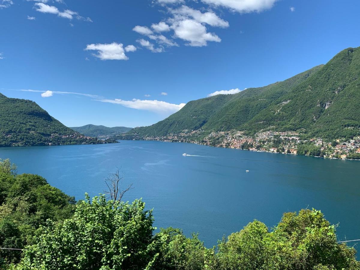 Apartment Casa Dono Il Lago Pognana Lario 外观 照片