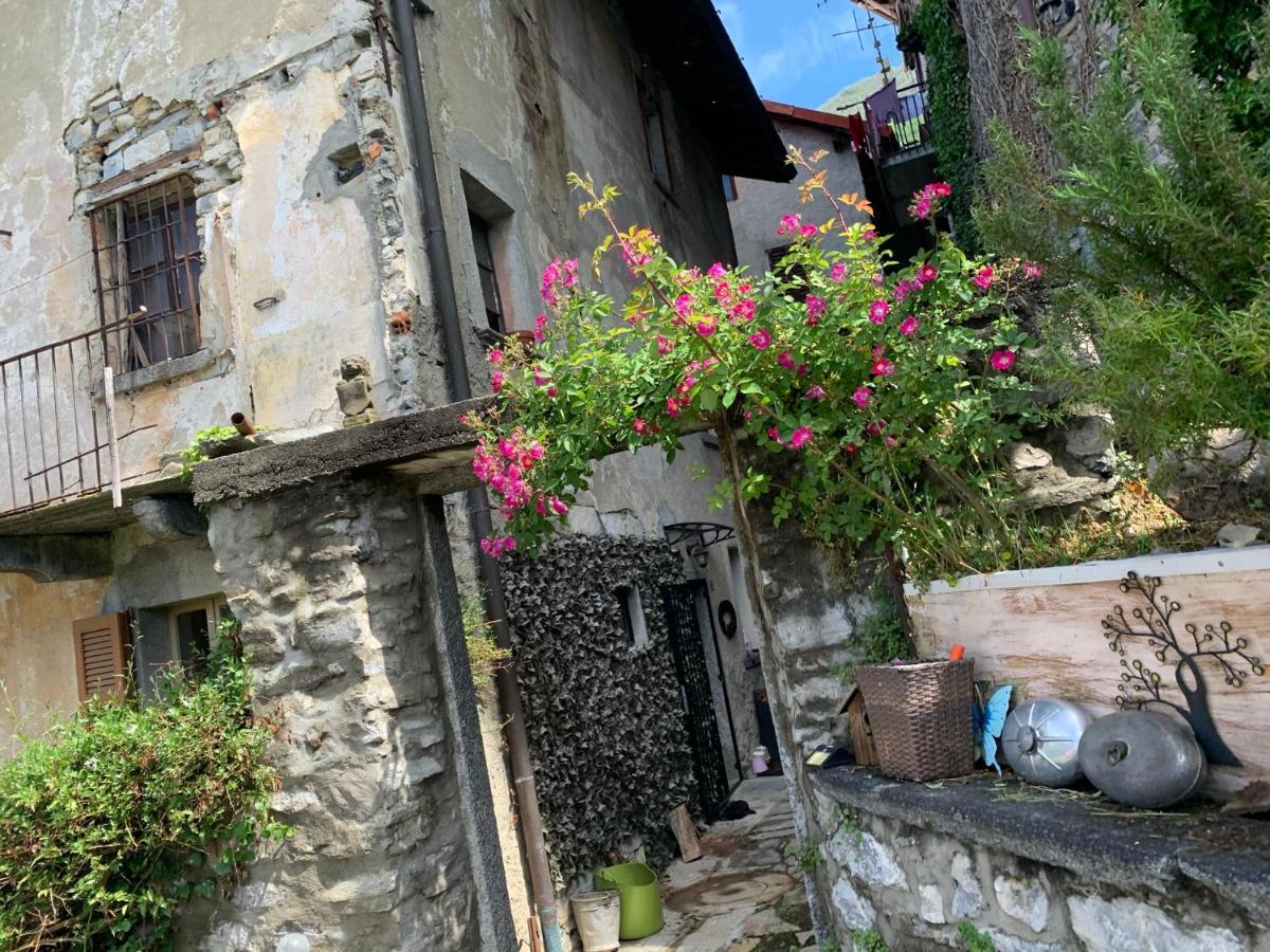 Apartment Casa Dono Il Lago Pognana Lario 外观 照片