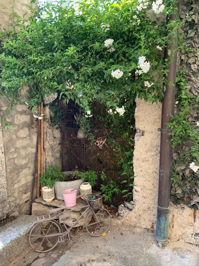 Apartment Casa Dono Il Lago Pognana Lario 外观 照片