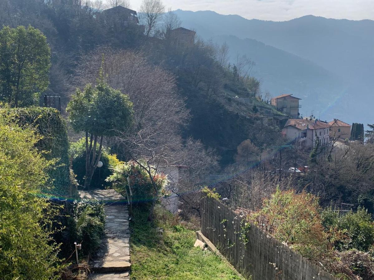Apartment Casa Dono Il Lago Pognana Lario 外观 照片